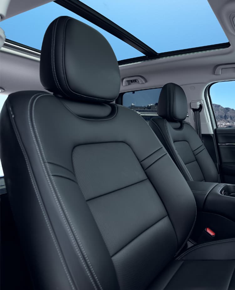 HAVAL H7 Black Edition leather seats