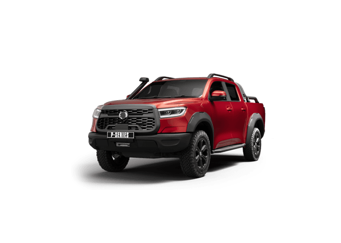 P300 LTD