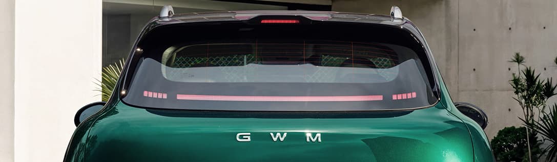 GWM ORA 5 LED tail lights
