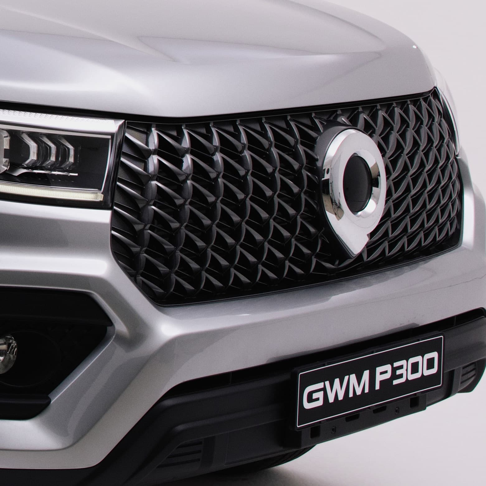 GWM P300 SX front grille detail