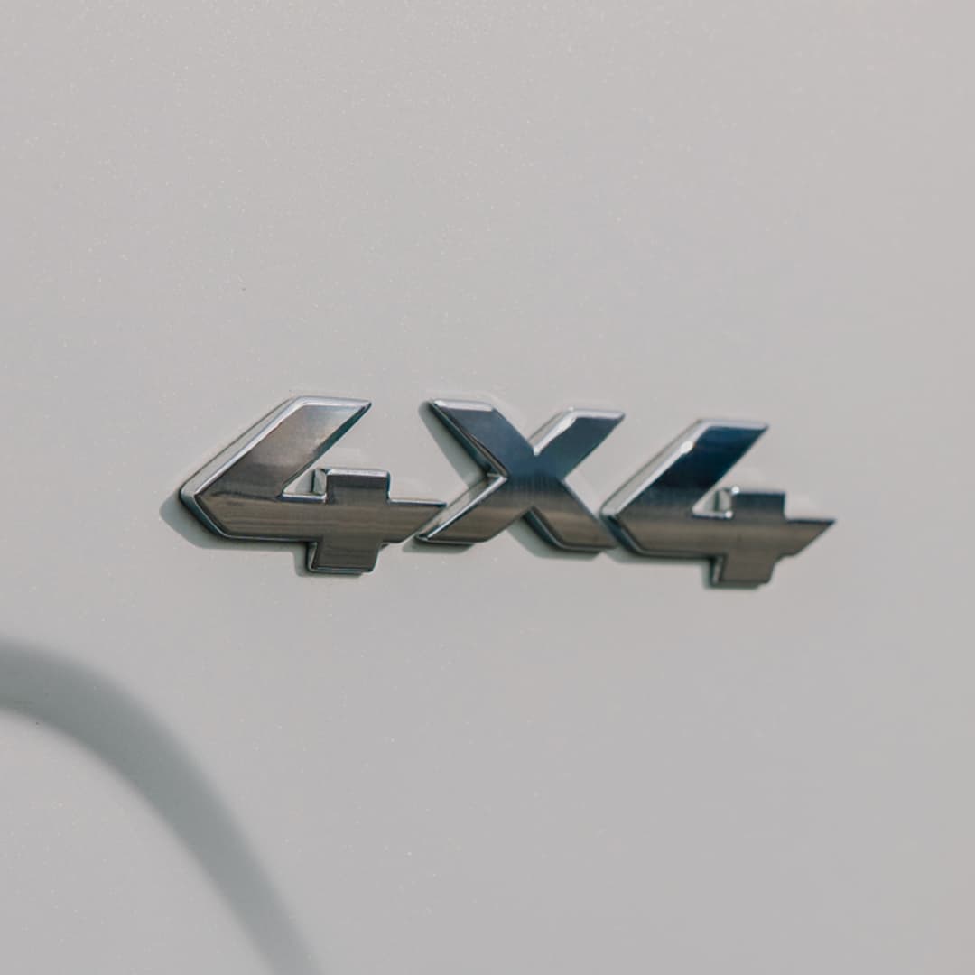 GWM P300 SX 4x4 badge